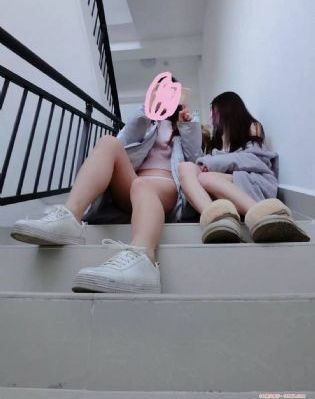 生而为狗